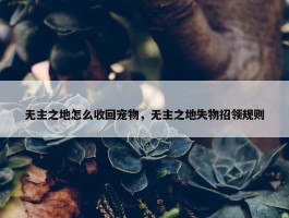 无主之地怎么收回宠物，无主之地失物招领规则