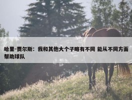 哈里-贾尔斯：我和其他大个子略有不同 能从不同方面帮助球队