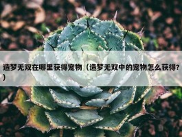 造梦无双在哪里获得宠物（造梦无双中的宠物怎么获得?）