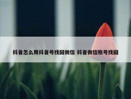 抖音怎么用抖音号找回微信 抖音微信账号找回