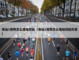 诛仙3宠物怎么增加技能（诛仙3宠物怎么增加技能伤害）