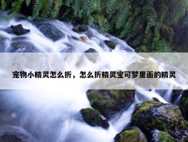 宠物小精灵怎么折，怎么折精灵宝可梦里面的精灵