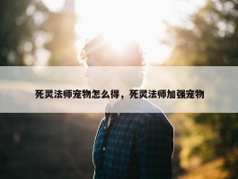 死灵法师宠物怎么得，死灵法师加强宠物