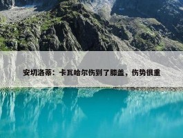 安切洛蒂：卡瓦哈尔伤到了膝盖，伤势很重