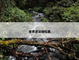 世界游泳锦标赛