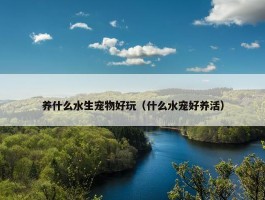 养什么水生宠物好玩（什么水宠好养活）