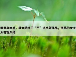 继孟宴臣后，魏大勋终于“严”选出新作品，搭档的女主太有观众缘