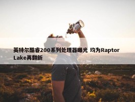 英特尔酷睿200系列处理器曝光 均为Raptor Lake再翻新