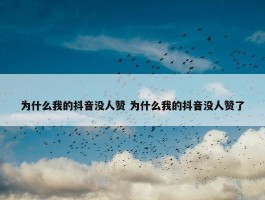 为什么我的抖音没人赞 为什么我的抖音没人赞了