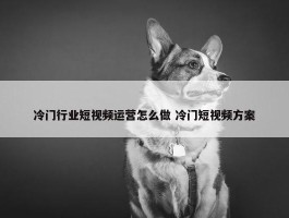 冷门行业短视频运营怎么做 冷门短视频方案