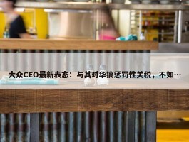 大众CEO最新表态：与其对华搞惩罚性关税，不如…