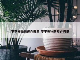 罗平宠物托运在哪里 罗平宠物医院在哪里