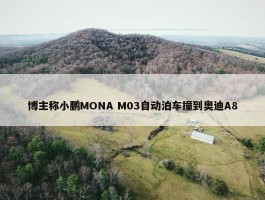 博主称小鹏MONA M03自动泊车撞到奥迪A8