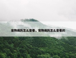 宠物病历怎么查看，宠物病历怎么查看的