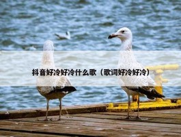 抖音好冷好冷什么歌（歌词好冷好冷）