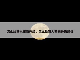 怎么给猎人宠物升级，怎么给猎人宠物升级属性