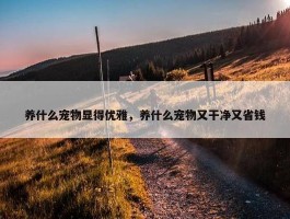 养什么宠物显得优雅，养什么宠物又干净又省钱