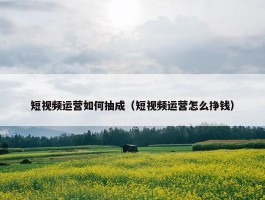 短视频运营如何抽成（短视频运营怎么挣钱）