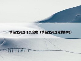 情侣之间送什么宠物（情侣之间送宠物好吗）