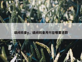 请问抖音y，请问抖音月付在哪里还款