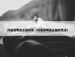 问道宠物怎么加抗性（问道宠物怎么加抗性点）