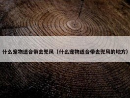 什么宠物适合带去兜风（什么宠物适合带去兜风的地方）