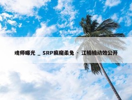 魂师曝光 _ SRP疯魔柔兔 · 江楠楠动效公开