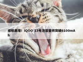 续航暴增！iQOO 13电池容量将突破6100mAh