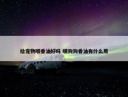 给宠物喂香油好吗 喂狗狗香油有什么用