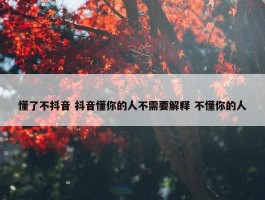 懂了不抖音 抖音懂你的人不需要解释 不懂你的人