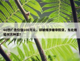 60秒广告价值100万元，却被爆涉嫌带假货，东北雨姐何方神圣？