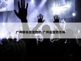 广州哪有卖宠物的 广州买宠物市场