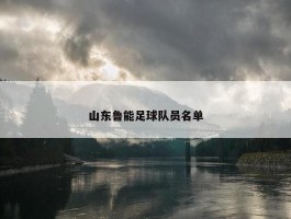 山东鲁能足球队员名单