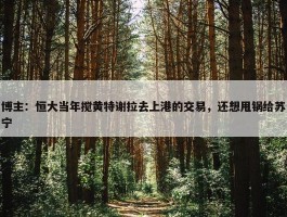 博主：恒大当年搅黄特谢拉去上港的交易，还想甩锅给苏宁