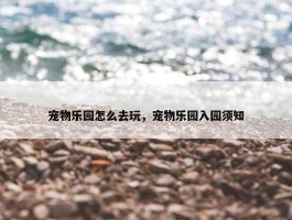 宠物乐园怎么去玩，宠物乐园入园须知