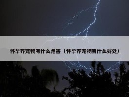 怀孕养宠物有什么危害（怀孕养宠物有什么好处）