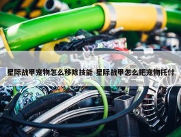 星际战甲宠物怎么移除技能 星际战甲怎么把宠物托付