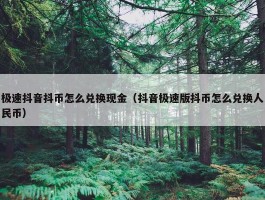 极速抖音抖币怎么兑换现金（抖音极速版抖币怎么兑换人民币）