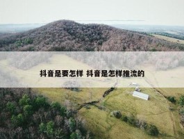 抖音是要怎样 抖音是怎样推流的