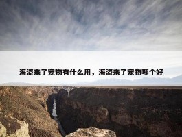 海盗来了宠物有什么用，海盗来了宠物哪个好