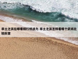 率土之滨在哪看排行榜战力 率土之滨怎样看哪个武将比较厉害