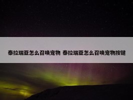 泰拉瑞亚怎么召唤宠物 泰拉瑞亚怎么召唤宠物按键