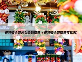 短视频运营怎么收取费用（短视频运营费用预算表）