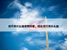 现代养什么猫宠物好看，现在流行养什么猫