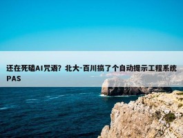 还在死磕AI咒语？北大-百川搞了个自动提示工程系统PAS