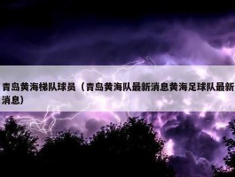 青岛黄海梯队球员（青岛黄海队最新消息黄海足球队最新消息）