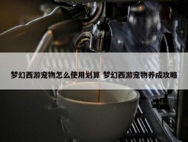 梦幻西游宠物怎么使用划算 梦幻西游宠物养成攻略