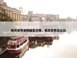 精灵世界宠物图鉴在哪，精灵世界怎么玩