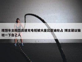 理想车主抱怨高速充电桩被大量比亚迪抢占 博主建议偏袒一下自己人