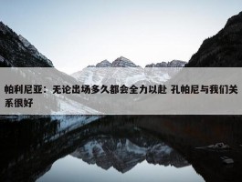 帕利尼亚：无论出场多久都会全力以赴 孔帕尼与我们关系很好